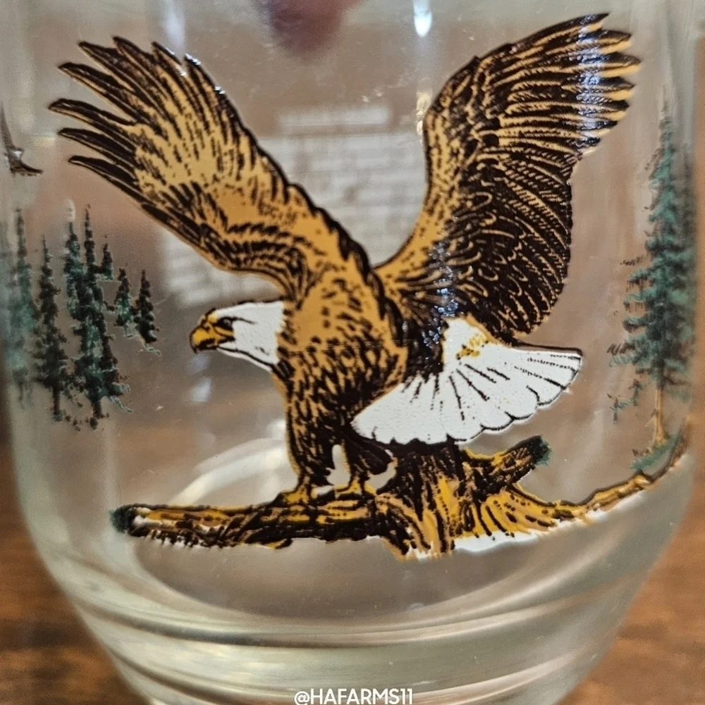 Wildlife Glasses